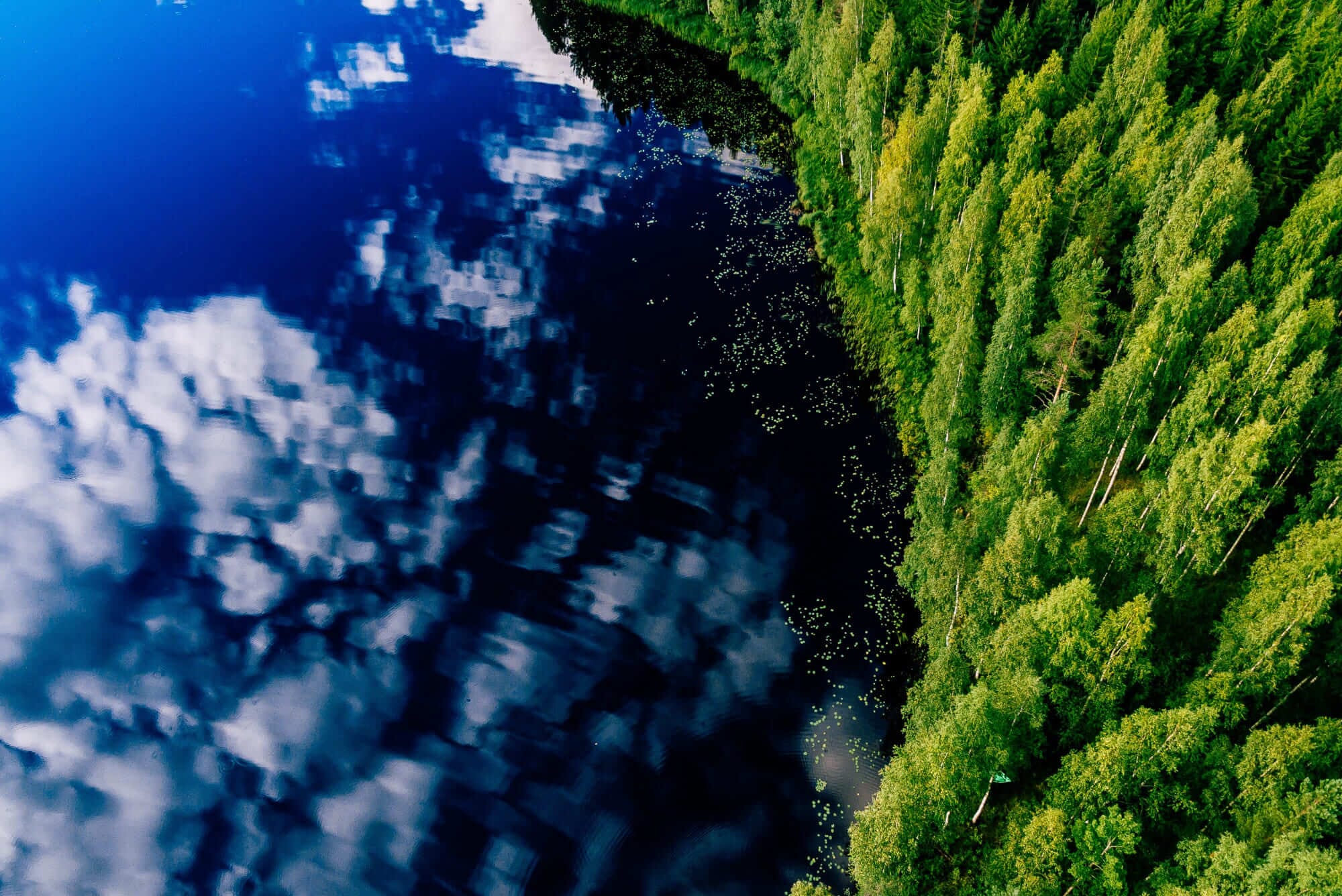 hero.jpg?w=1024&h=684&scale