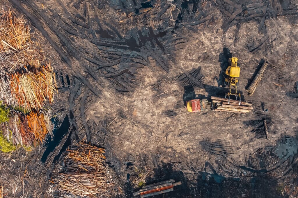 Deforestation-scaled.jpg?w=1024&h=683&scale