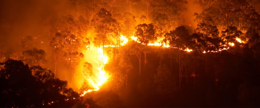 feature-why.jpg?w=1024&h=426&scale