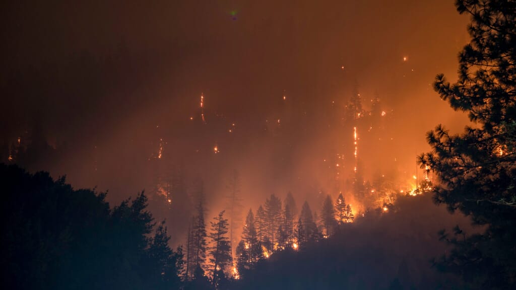 ForestFire2-scaled.jpg?w=1024&h=576&scale