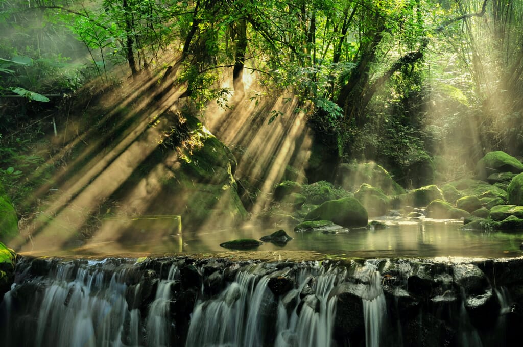 PoolForestLight-scaled.jpg?w=1024&h=680&scale