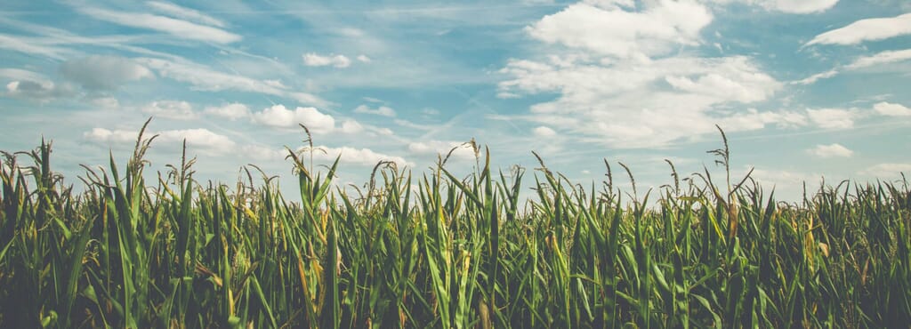 SkyField2-cropped-scaled.jpeg?w=1024&h=370&scale