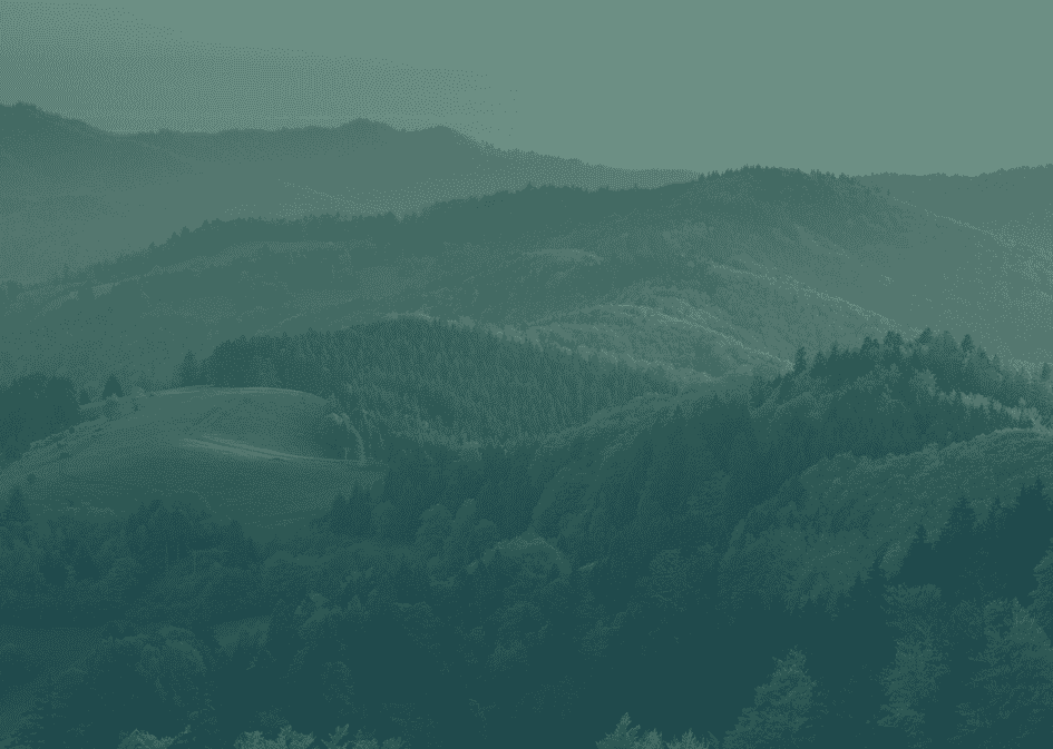 Screenshot-2024-08-05-092254