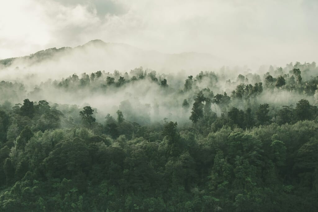 tobias-tullius-RhjVGxILcqE-unsplash-1-scaled.jpg?w=1024&h=681&scale
