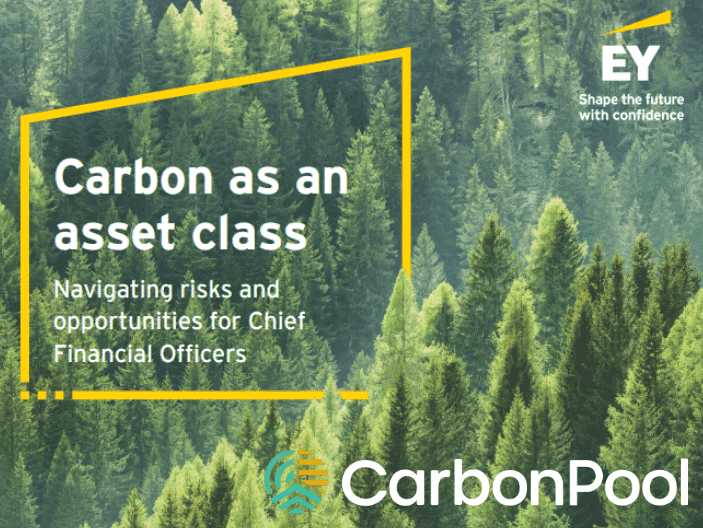 Capture-decran-2025-04-29-134436